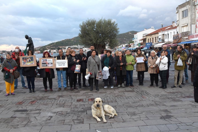 HAYVANLARA YÖNELİK ŞİDDET FOÇADA PROTESTO EDİLDİ