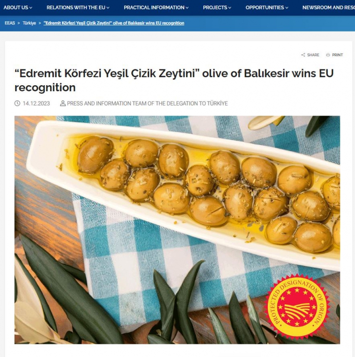 Edremit Körfezi’nde yetişen yeşil çizik zeytini, Avrupa Birliği tarafından coğrafi işaret tescili almıştır