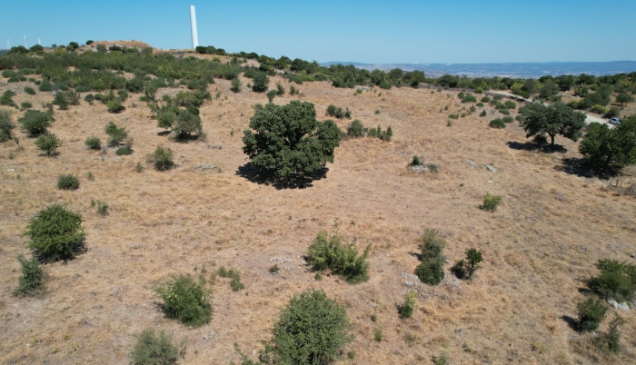 Ezine Sarpdere Eko Turizm İmar Projemizde sona geldik 6