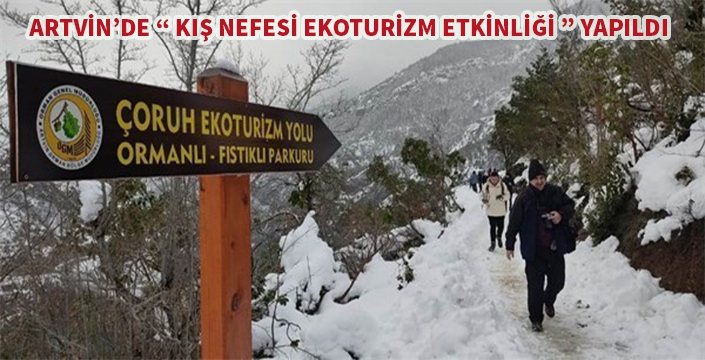 Artvin Ekoturizm Rehberi: Kış Nefesi Etkinliği ve Hatila Cam Teras Deneyimi