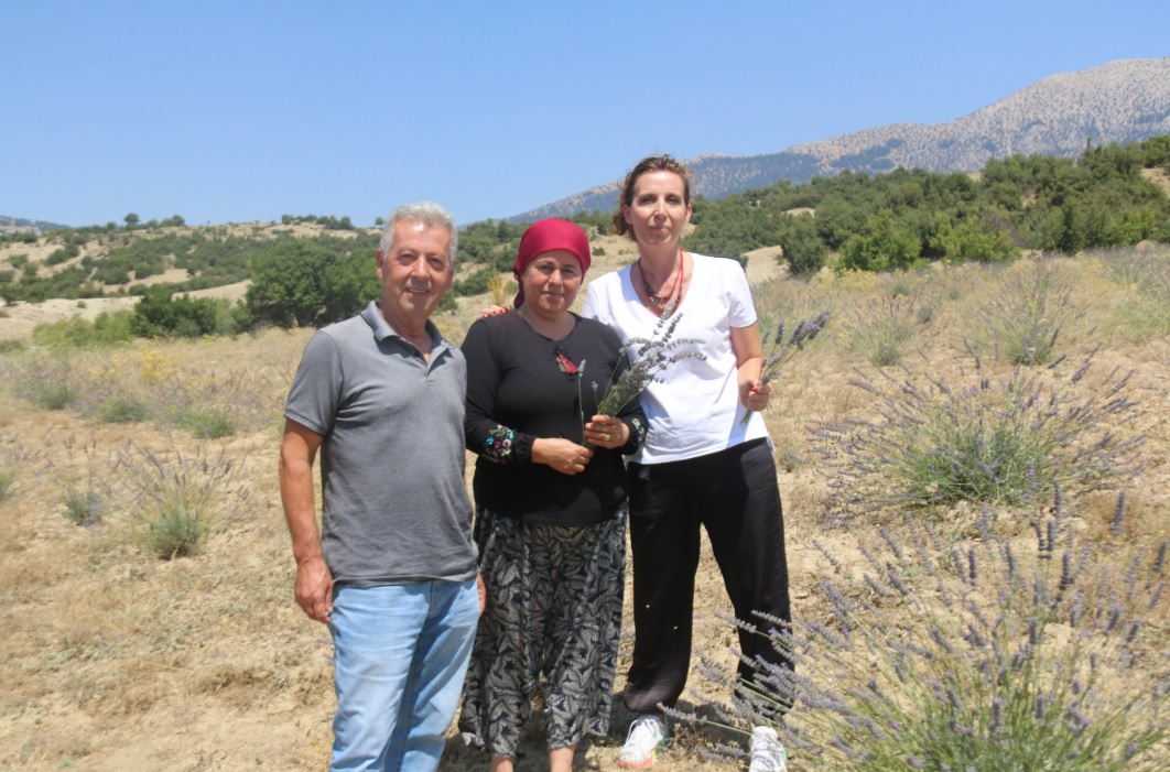 Kaş Yaylakılıçlı'da çorak topraklar mora büründü