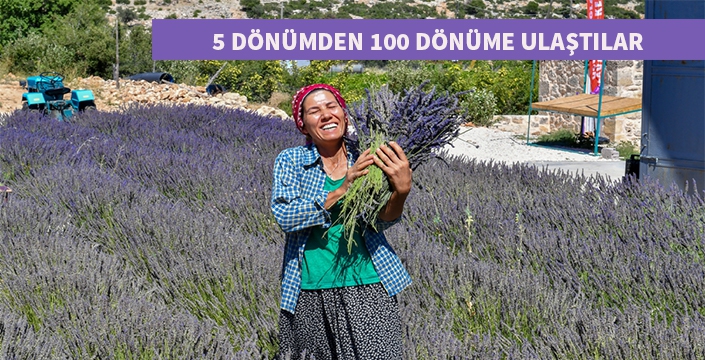 Lavanta'dan hem kazanıyor, hem de burs veriyor