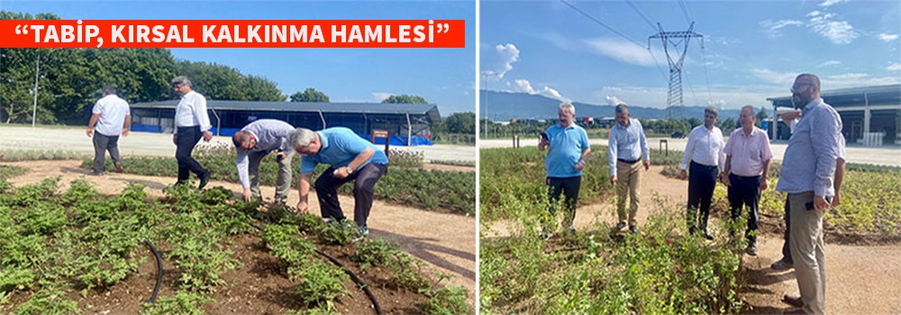 TABİP Kırsal Kalkınma Hamlesi yaptı