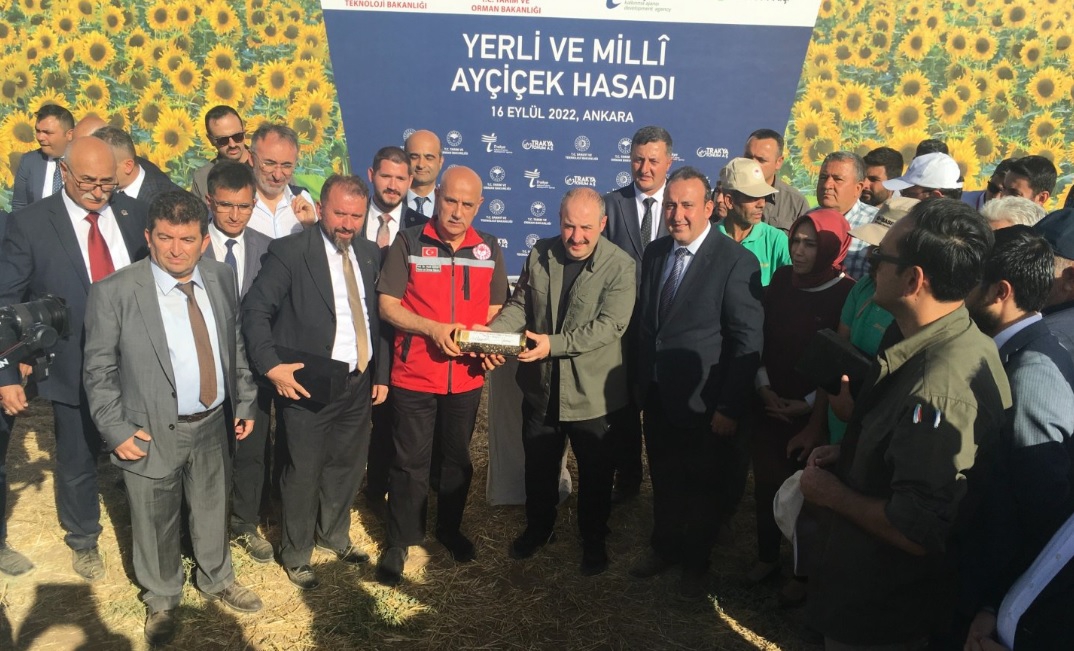 Trakya'da İlk yerli ve mili ayçiçeği tohumu hasadı yapıldı