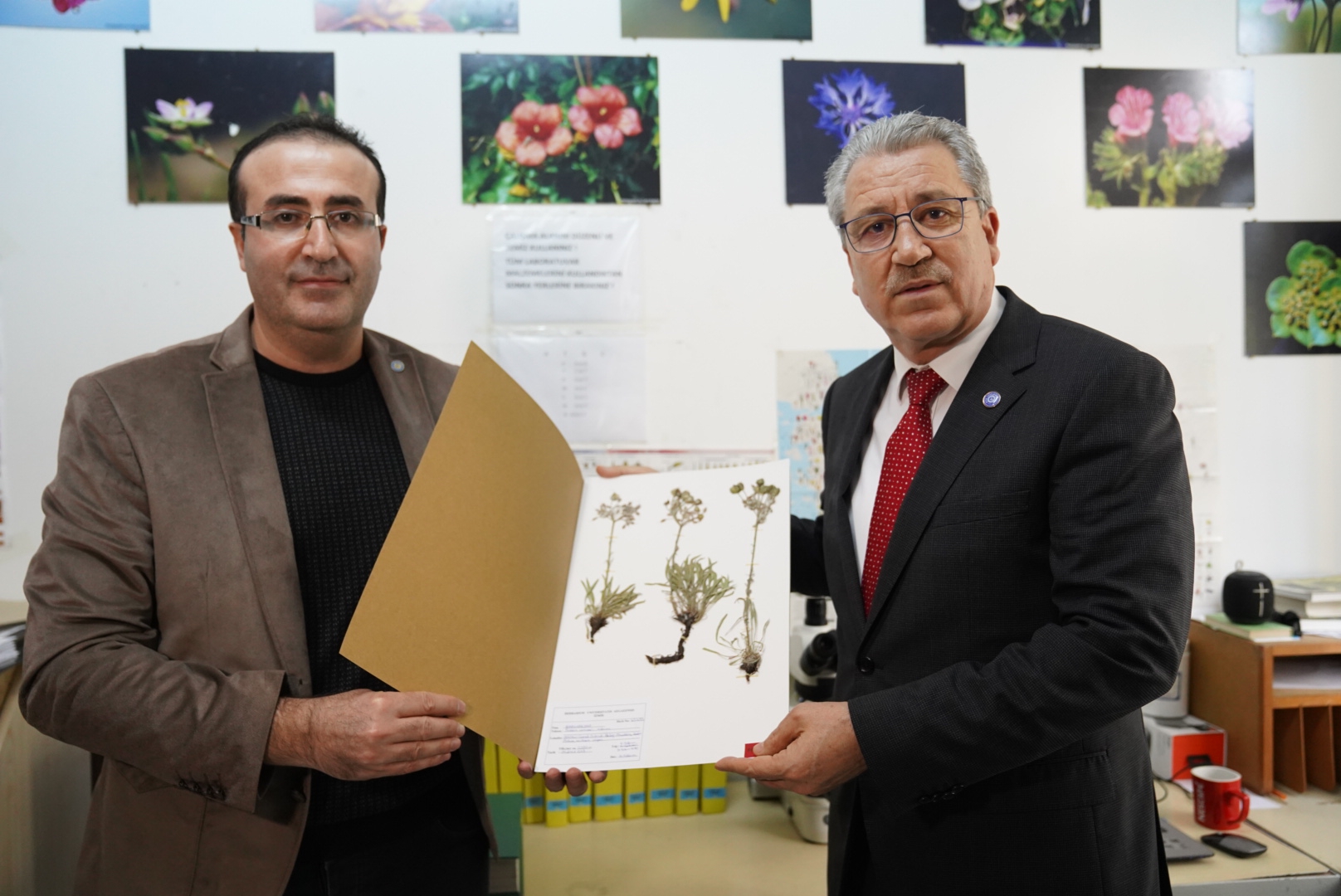 Endemik yeni tür keşfedildi ismi “Adıyaman çançiçeği” oldu