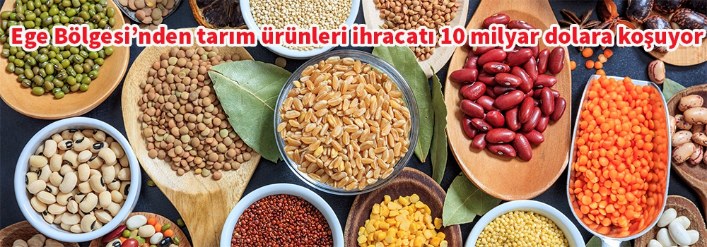 Ege Bölgesi’nden yapılan tarım ürünleri ihracatı 7 milyar doları aştı