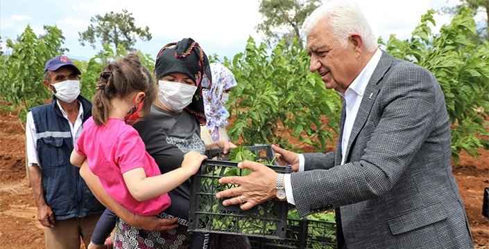 Büyükşehir İpekböcekçiliğini Destekliyor Muğla Kazanıyor