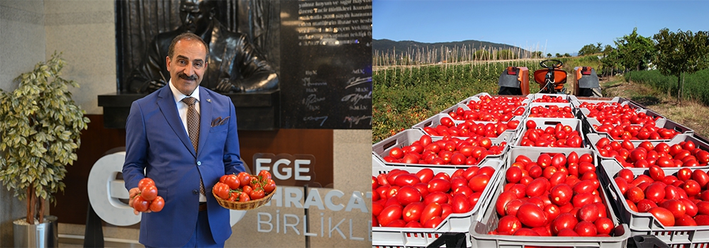 Rusya’ya domates ihracatında kota 500 bin tona çıktı