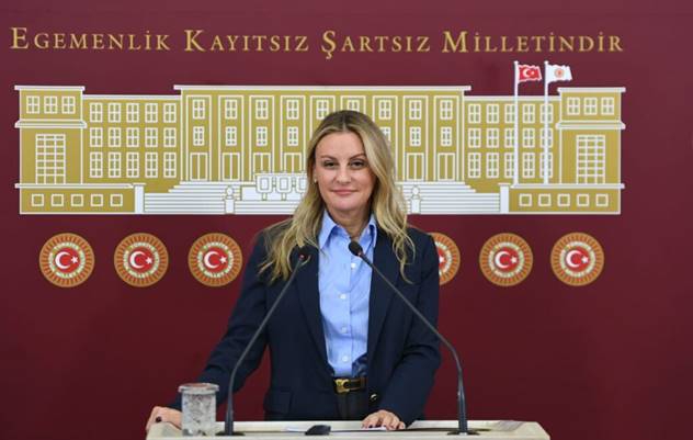 Seda Kaya Ösen, e-kitaplarda KDV’nin kaldırılması için kanun teklifi verdi.