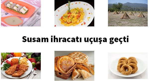 Lezzetli ve Sağlıklı Susamda İhracat Rekorları Kırılıyor! Hedef 250 Milyon Dolar