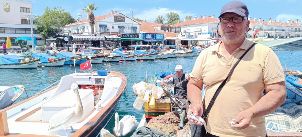 Foça'da Balıkçı Dostu Pelikanlar: Pakize ve Osman Fotoğraf Pozları Veriyor
