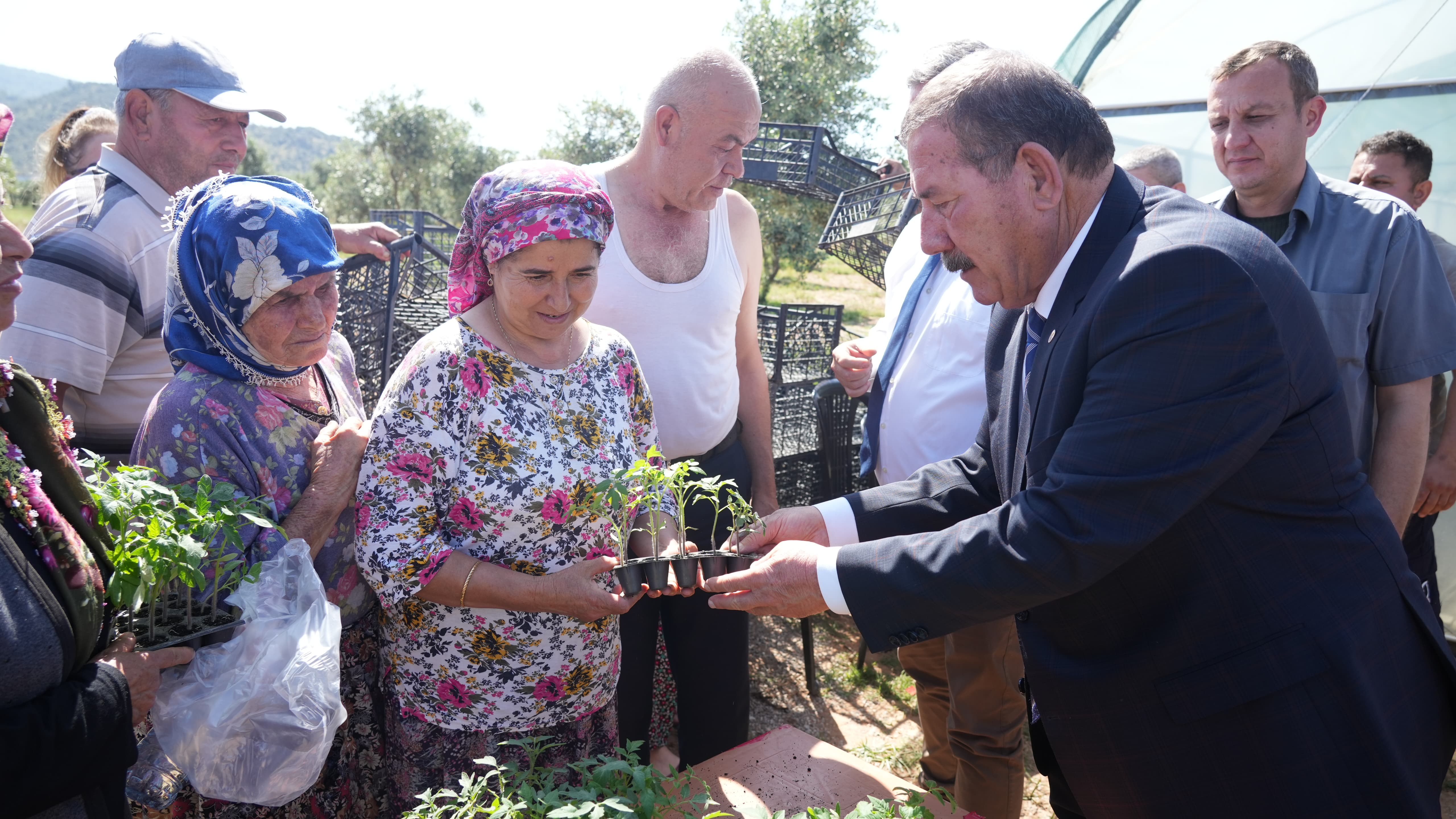 Milas Belediyesi Üreticilere Yerli Tohumlardan Fide Desteği Sağlıyor