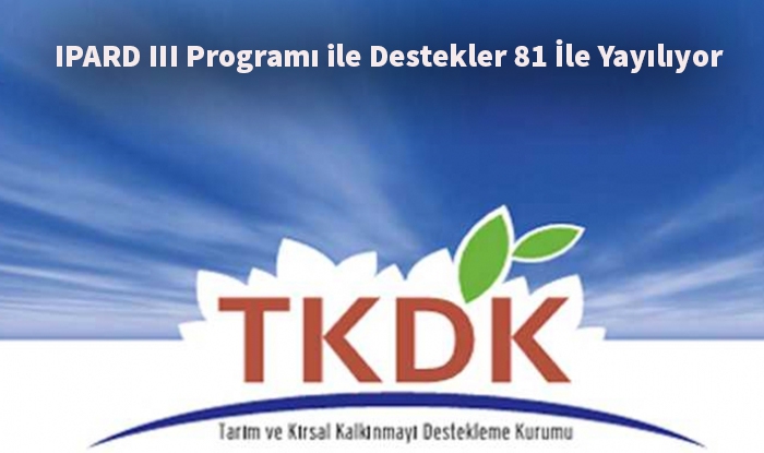 TKDK’dan 2024’te Rekor Destek: 1282 Projeye 2,8 Milyar TL Hibe