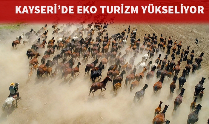 Hürmetçi Sazlığı Ekoturizmde Yükseliyor: Yılkı Atlarıyla Doğa İç İçe