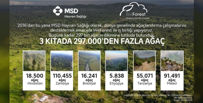MSD Hayvan Sağlığı ve WeForest’tan 10 Yılda 297 Bin Ağaçlık Dev Adım