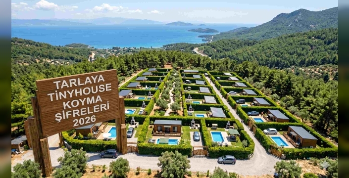 Milyonluk Yıkım Riski Almayın: Tarlaya Bungalov ve tinyhouse yapmanın şifrleri kapsamlı rehberde