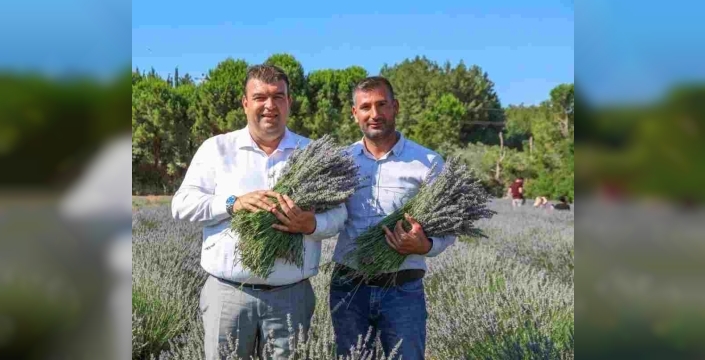 Seferihisar'da görsel şölen başlıyor: Tarih belli oldu, gitmek isteyenlere ücretsiz ulaşım müjdesi!