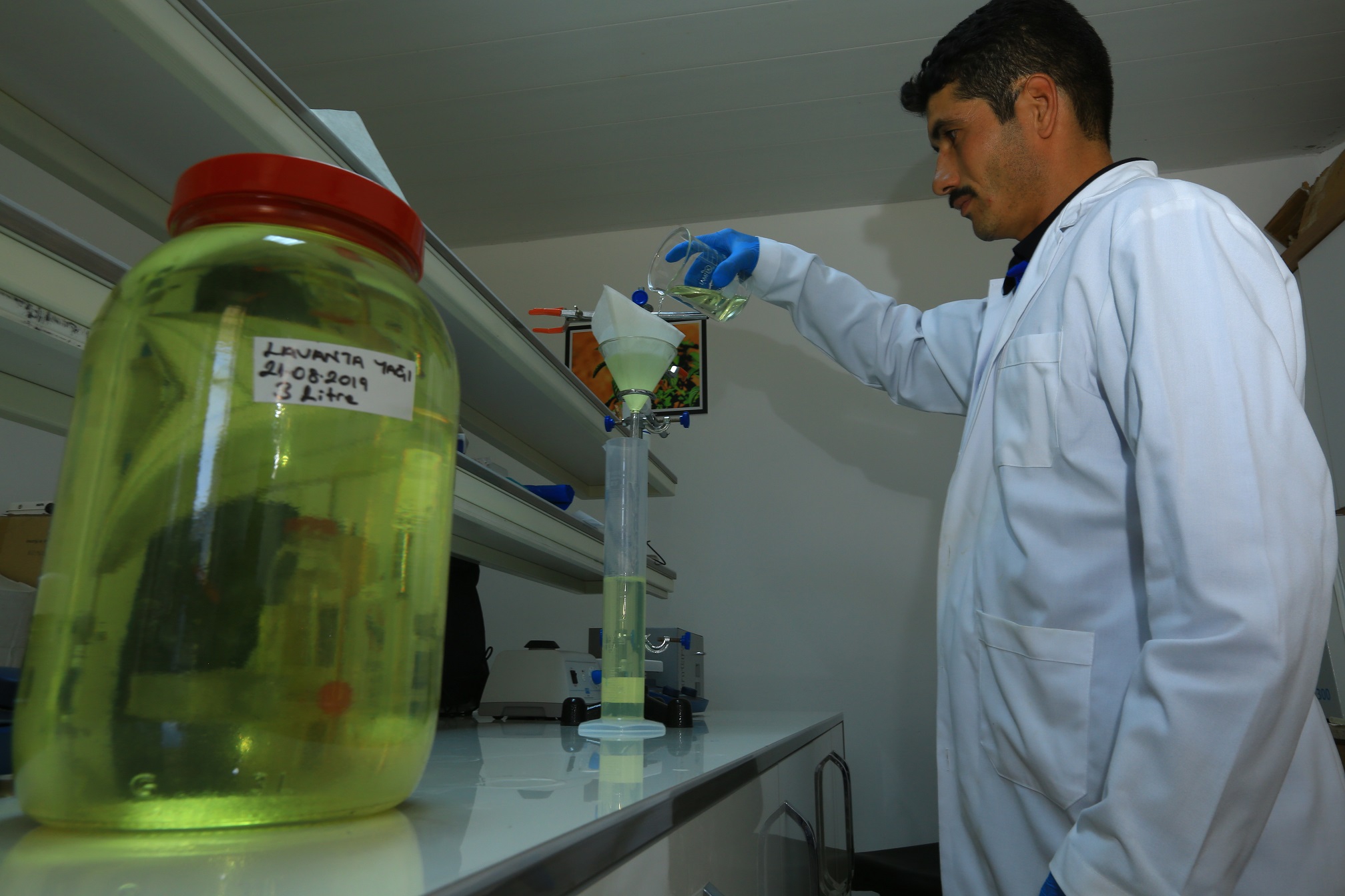 8 Ton Lavantadan 136 Litre Uçucu Lavanta Yağı Elde Edildi