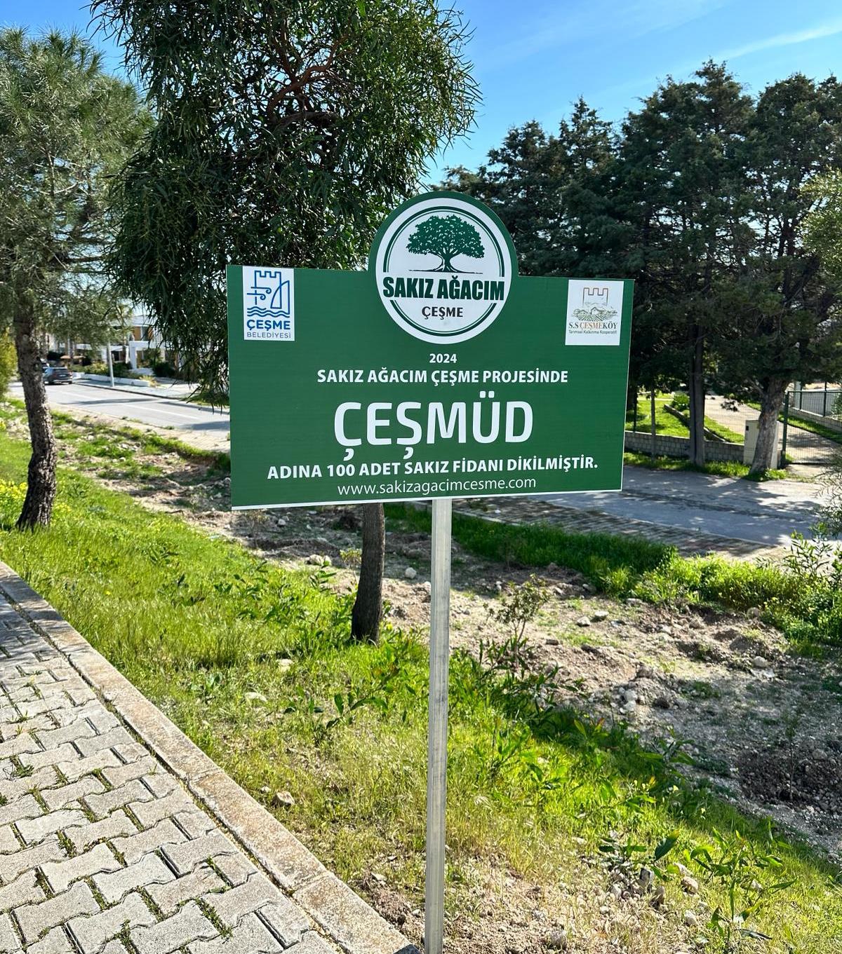 ÇEŞMÜD Çeşme’yi Sakız Ağaçlarıyla Süsledi