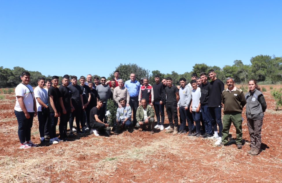İzmir’den Kıbrıs’a Sakız Ağacı Kardeşliği: 300 Fidan Toprakla Buluştu