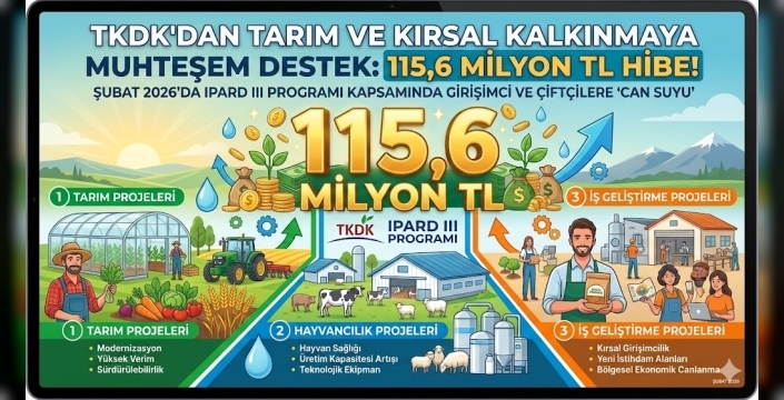 Şubat 2026 TKDK Hibe Ödemeleri Yapıldı: Hangi Sektöre Ne Kadar Destek Verildi?