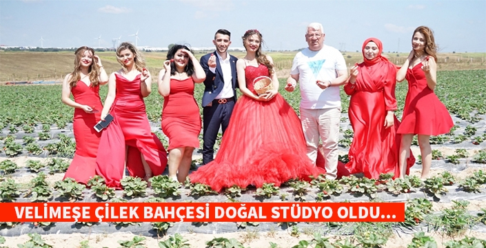 Velimeşe çilek bahçesi doğal stüdyo oldu