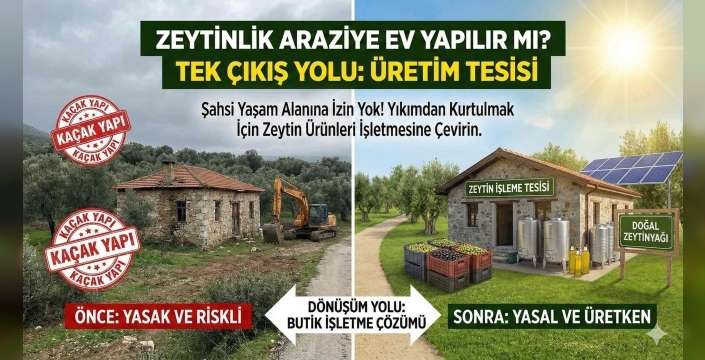 Zeytinlik Vasıflı Araziye Ev Yapılır Mı? Kaçak Yapınızı Kurtarmanın Tek Yolu